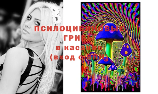 прущая мука Аркадак